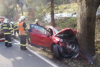 Předjížděl, když byl předjížděn! Vytlačil auto na strom, řidiče musel odvézt vrtulník!