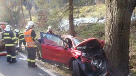 U Lískové na Domažlicku vytlačil předjížděný řidič auto ze silnice, jeho řidič se těžce zranil. Zasahoval i záchranářský vrtulník.