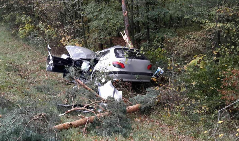 Při nedělní nehodě u Ždánic přerazil řidič v osobáku strom, vůz je na odpis. S vážným poraněním hlavy skončil šofér v brněnské nemocnici.