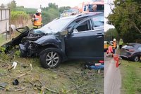 Auto na jihu Čech vyjelo ze silnice a narazilo do stromu: Dva lidé zemřeli