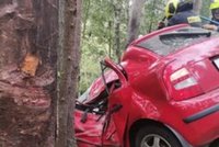 Řidič na Plzeňsku vyjel ze silnice a narazil do stromu: Nehodu nepřežil