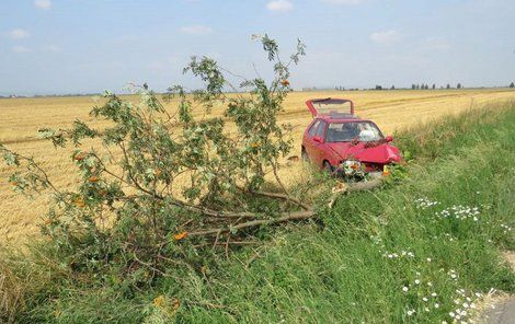 Takhle zničila žena své auto, když se nevěnovala řízení.