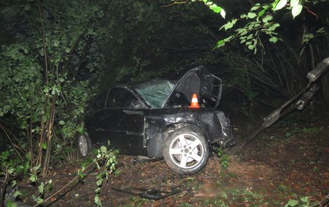 Mladík v audi tam nezvládl zatáčku a narazil do stromu.