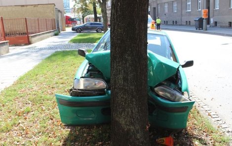 Zachráněná lahev burčáku, auto na odpis.