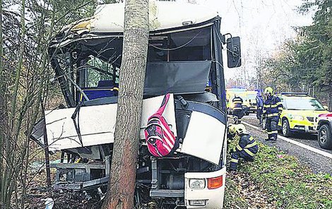 Řidič pravděpodobně nezvládl zatáčku a vyjel ze silnice.