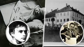 Masové vraždy, kanibalismus i nejslavnější podvodník: Podívejte se na 7 NEJ české kriminalistiky!