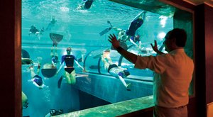 Y-40: Nejhlubší bazén na světě 