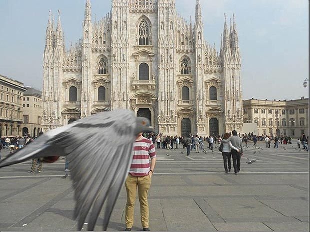 Momentku na milánském náměstí Duomo překazil holub v nose...skoro