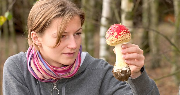 Některé jedovaté houby si snadno spletete s jedlými.