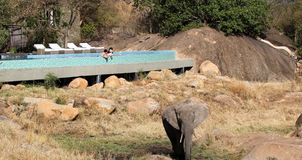 Mezi zvířaty a bazénem  je překážka vpodobě skalnatého terénu.