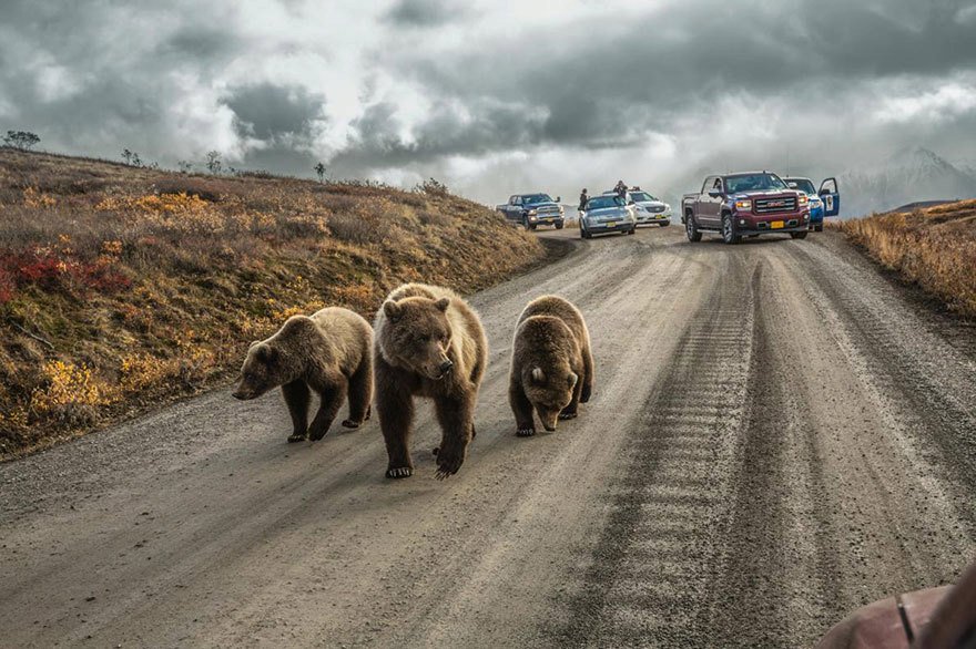 Toto jsou podle magazínu National Geographic nejlepší fotografie letošního roku