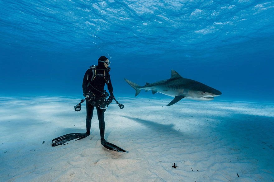 Toto jsou podle magazínu National Geographic nejlepší fotografie letošního roku