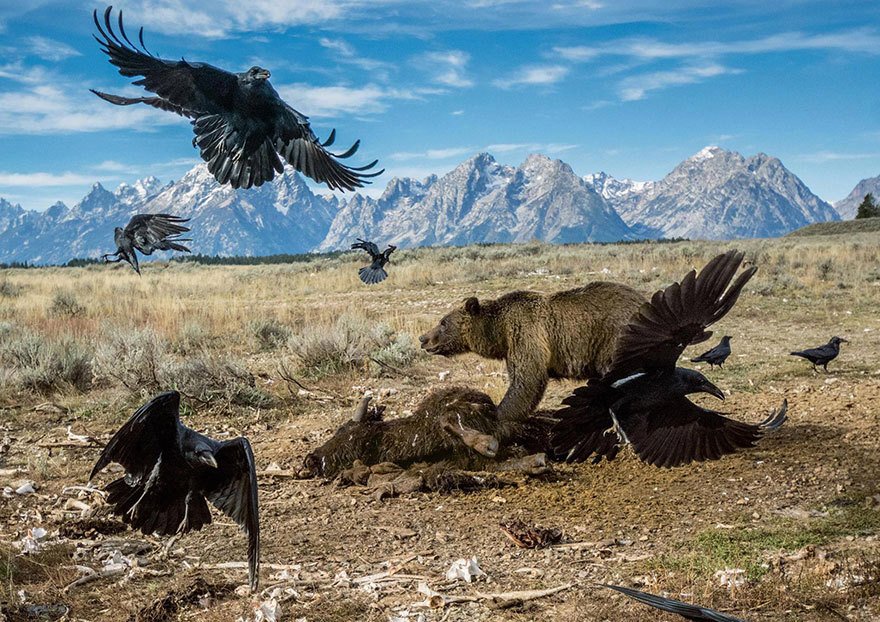 Toto jsou podle magazínu National Geographic nejlepší fotografie letošního roku