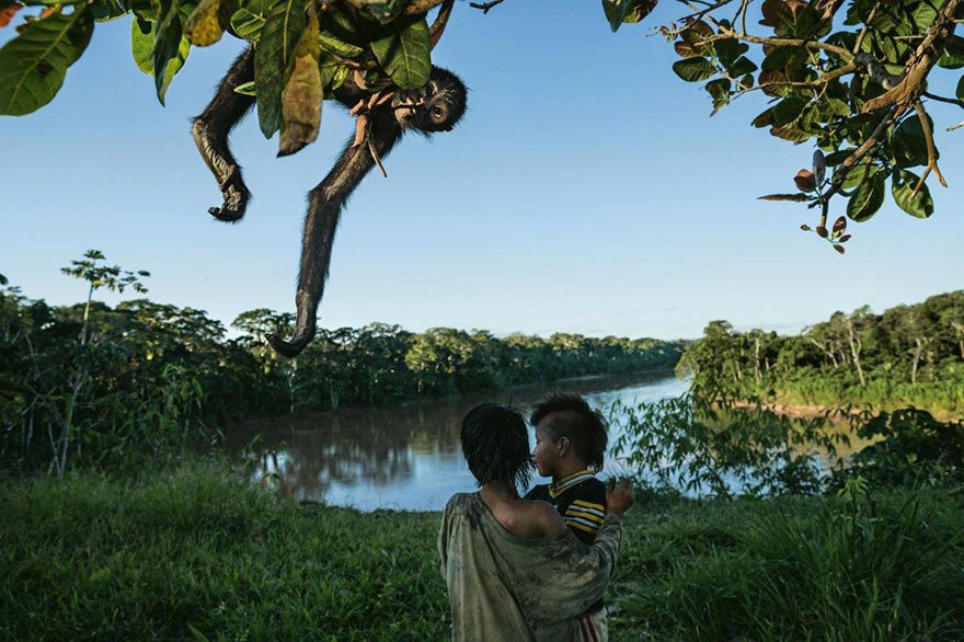 Toto jsou podle magazínu National Geographic nejlepší fotografie letošního roku