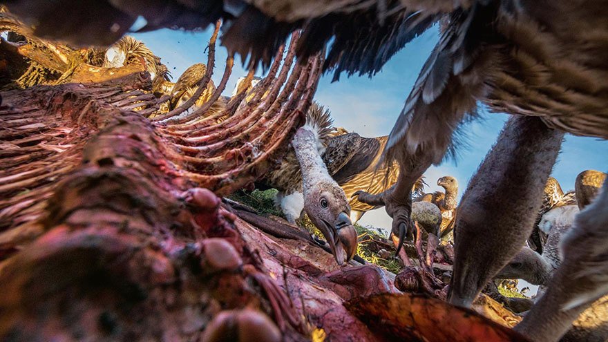 Toto jsou podle magazínu National Geographic nejlepší fotografie letošního roku