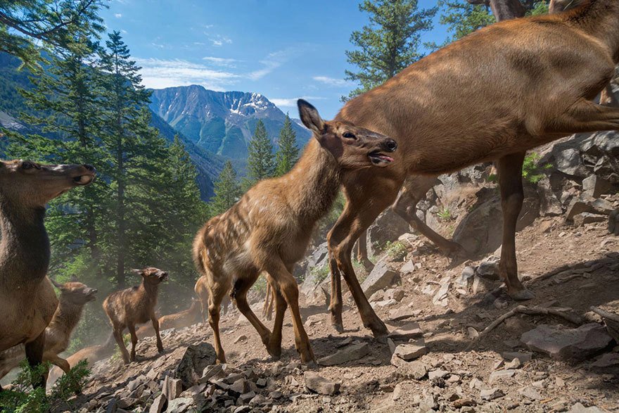 Toto jsou podle magazínu National Geographic nejlepší fotografie letošního roku