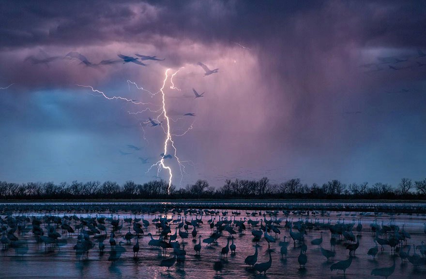 Toto jsou podle magazínu National Geographic nejlepší fotografie letošního roku