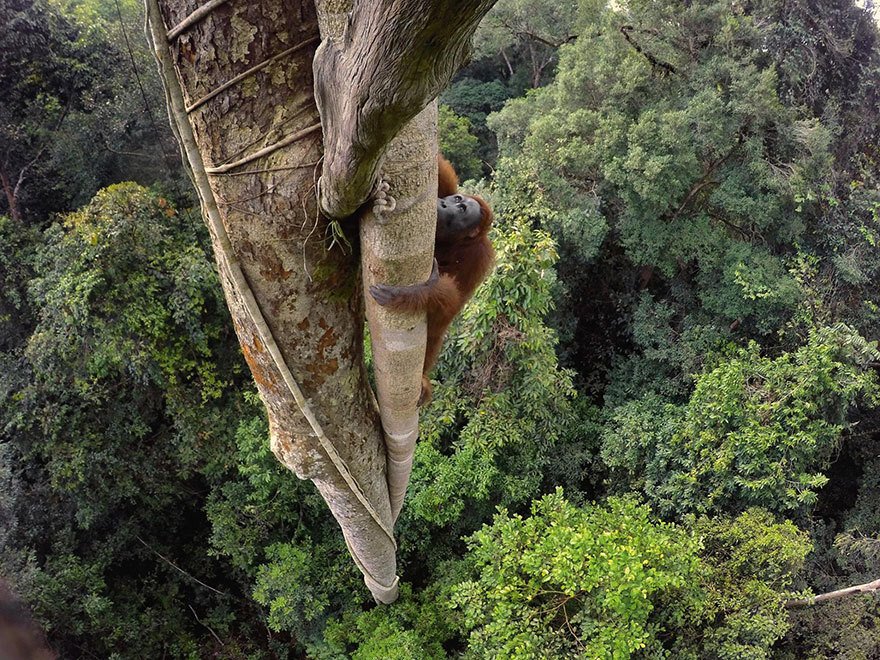 Toto jsou podle magazínu National Geographic nejlepší fotografie letošního roku