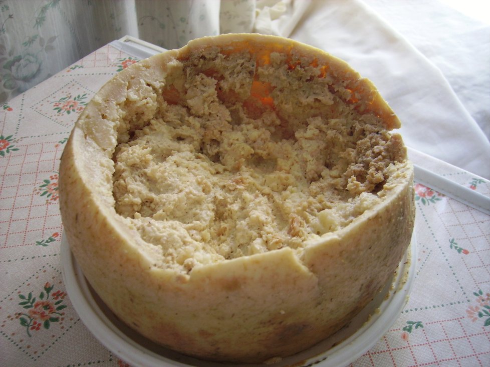 Sardinský sýr Casu marzu