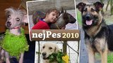 Vítězové 2. kola soutěže nejPes 2010