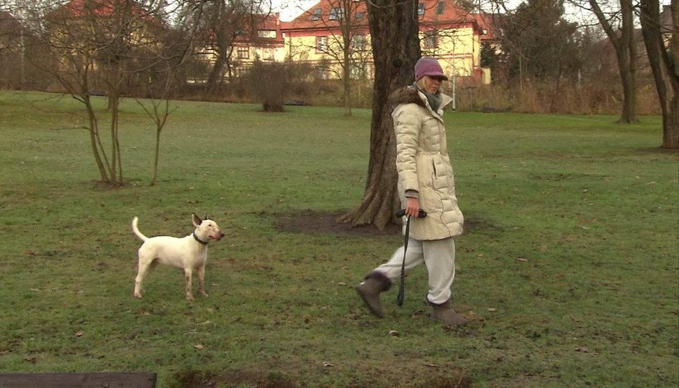 &#34;Nějaký chlupatý smeták by se ke mně nehodil,&#34; říká Diana.