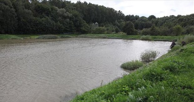 V tomhle rybníku nedaleko Gdaňska chtěl pudlík skoncovat se životem