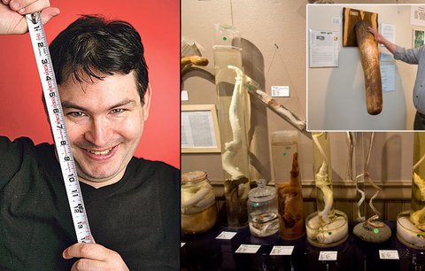 Majitel největšího penisu dal přednost vědě: Svůj úd daruje muzeu!