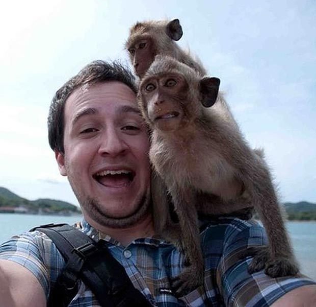 Je na téhle fotce bláznivější člověk nebo opice?