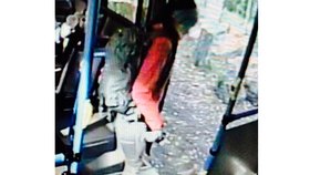 Nelu naposledy viděli vystupovat z autobusu před parkem Nuuksio.