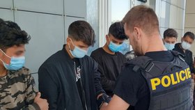 Česká policie zadržela u Lanžhota ilegální migranty.