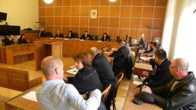 Čtyřikrát vězení, jednou podmínka, další dva obžalovaní si verdikt ještě vyslechnou. Soud v Brně trestal za černou těžbu v cizích lesích.