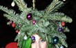 Lady Gaga prohlašuje, že Vánoce nesnáší, ráda se ale převleče za stromeček.e?
