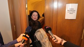 Bývalá šéfka Sněmovny Miroslava Němcová (ODS) nechtěl jednání výboru před začátkem komentovat.
