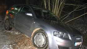 Němec zemřel po sexu s prostitutkou v autě, to se rozjelo a nabouralo do stromu.