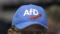 Ultrapravicová strana AfD se zřejmě ocitne pod dohledem německé kontrarozvědky. Ultrapravicová strana AfD se zřejmě ocitne pod dohledem německé kontrarozvědky.