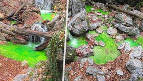 Horský potok Lainbach v Bavorsku září neonově zeleně.