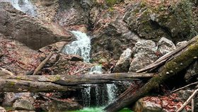 Horský potok Lainbach v Bavorsku září neonově zeleně.