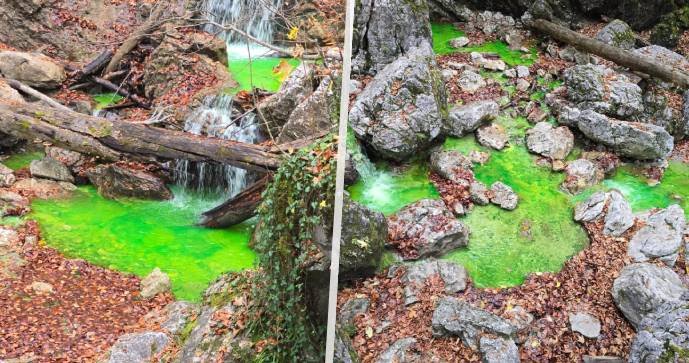Horský potok Lainbach v Bavorsku září neonově zeleně.