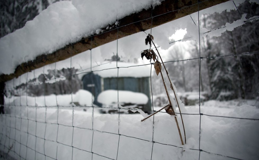 Bavorsko trápí přívaly sněhu. Nadílka komplikuje dopravu, zavřené zůstaly i školy. (7. 1. 2019)