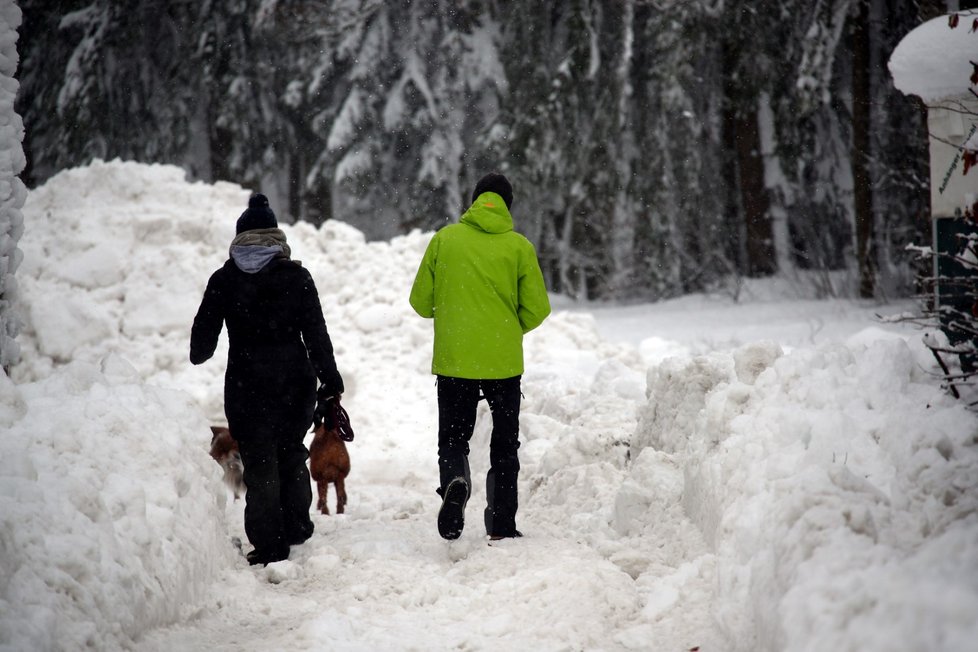 Bavorsko trápí přívaly sněhu. Nadílka komplikuje dopravu, zavřené zůstaly i školy. (7.1.2019)