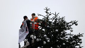 Aktivisté z ekologického hnutí Poslední generace (Letzte Generation) v centru Berlína u Braniborské brány uřízli špičku vánočního stromu. (21.12.2022)