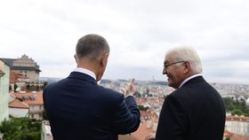 Německý prezident Frank-Walter Steinmeier se setkal v Hrzánském paláci s premiérem Andrejem Babišem.