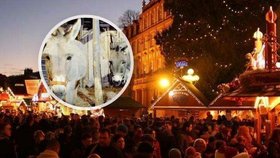 Oslíky Maxe a Lily týrali vandalové v živém betlému.