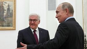 Německý prezident Frank-Walter Steinmeier s Vladimirem Putinem v roce 2017.