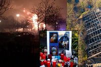 Novoroční tragédie v zoo: Požár zabil třicet opic!