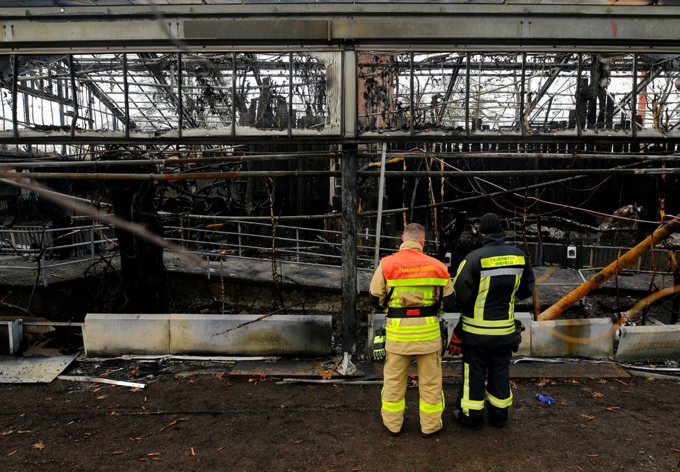 Pavilon opic v zoo v německém Krefeldu lehl popelem.