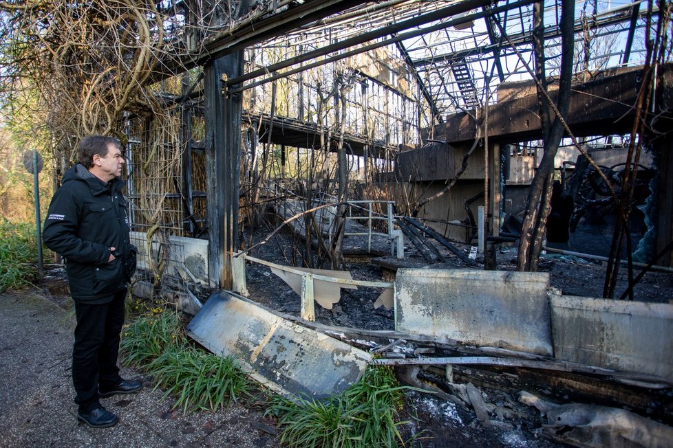 Pavilon opic v zoo v německém Krefeldu lehl popelem.