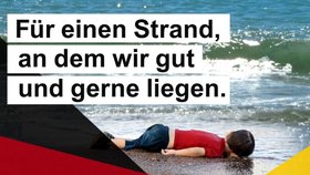 Německá strana Die Partei zveřejnila kontroverzní plakát.