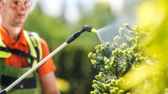 Rostoucí chudoba v Německu bývalé hranice neřeší. Nejvíce ohroženi jsou sezonní pracovníci