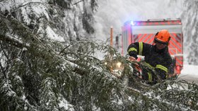 V pěti bavorských okresech mezi městy Garmisch-Partenkirchen a Berchtesgaden platí nadále „stav přírodní katastrofy“. (14.1.2019)